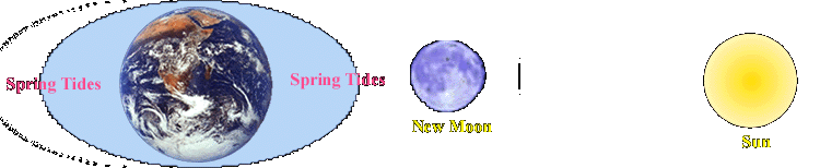 spring2.gif (32231 bytes)