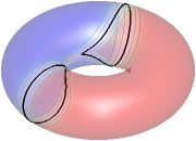 Unit
normal flow on a torus