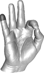 Unit normal flow on a hand