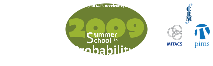 2009 Summer School in Probability